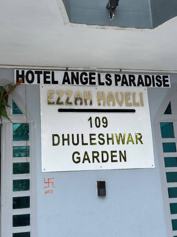 Angle paradise — photo 3