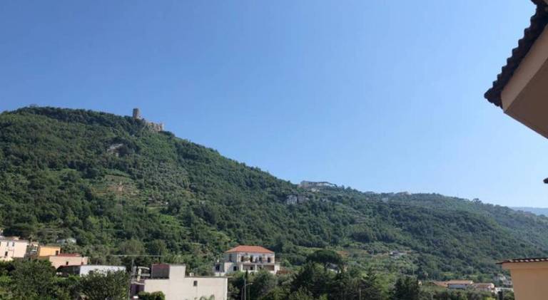 Rental apartment | Pets are welcome in Pompei