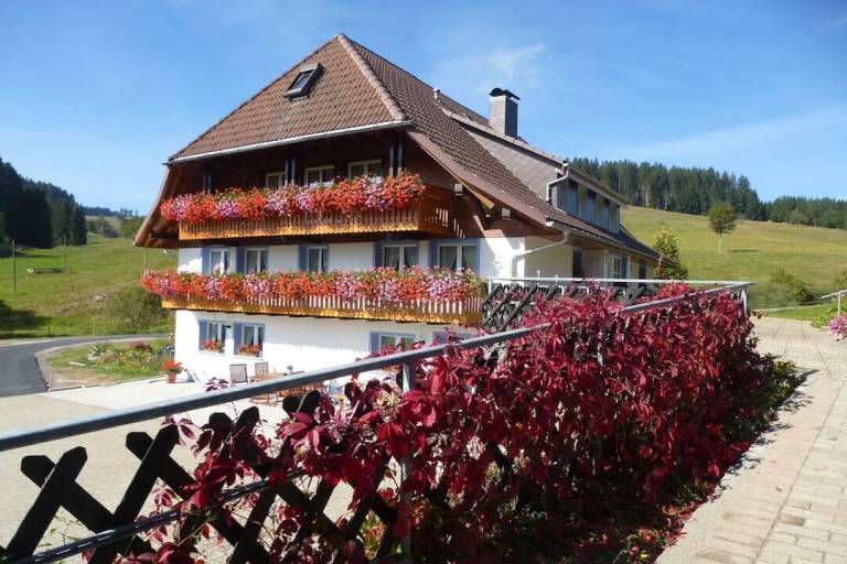 Appartement Titisee-Neustadt