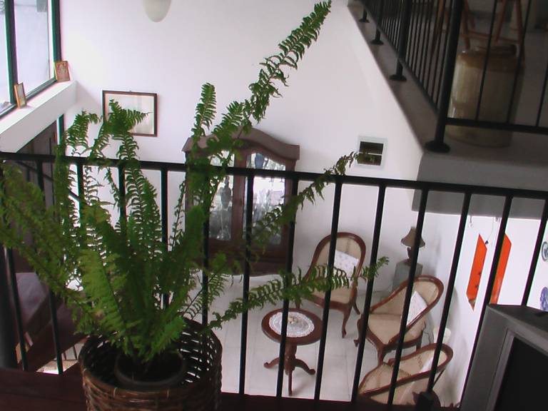 foto2