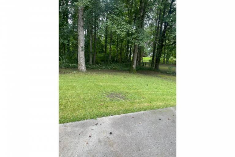 House Jonesboro