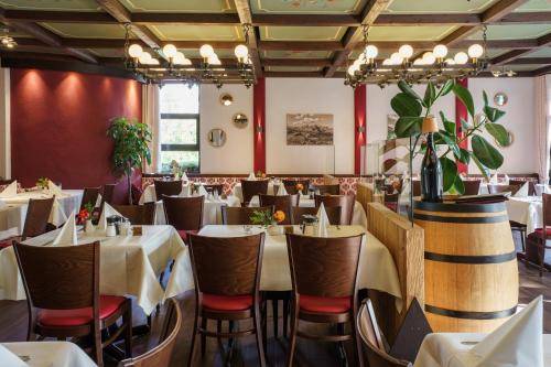 Hotel-Restaurant Dechbettener Hof — photo 5