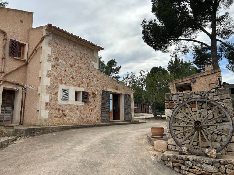 foto1