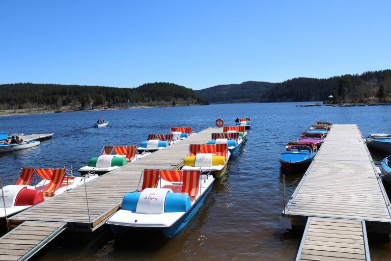 Ferienwohnung Schluchsee