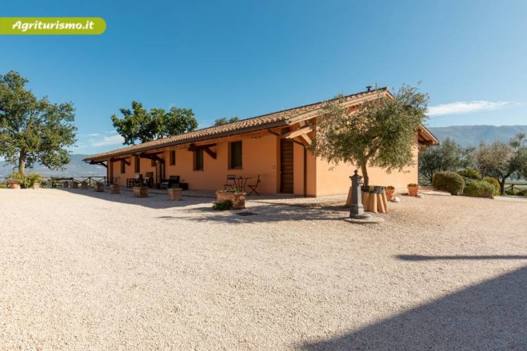 I Mille Ulivi - Agriturismo con ristorante: Camera — photo 4