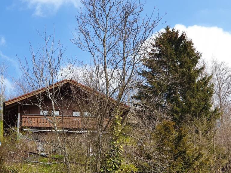 foto1