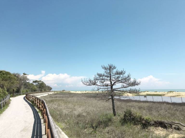 Apartment Lignano Sabbiadoro