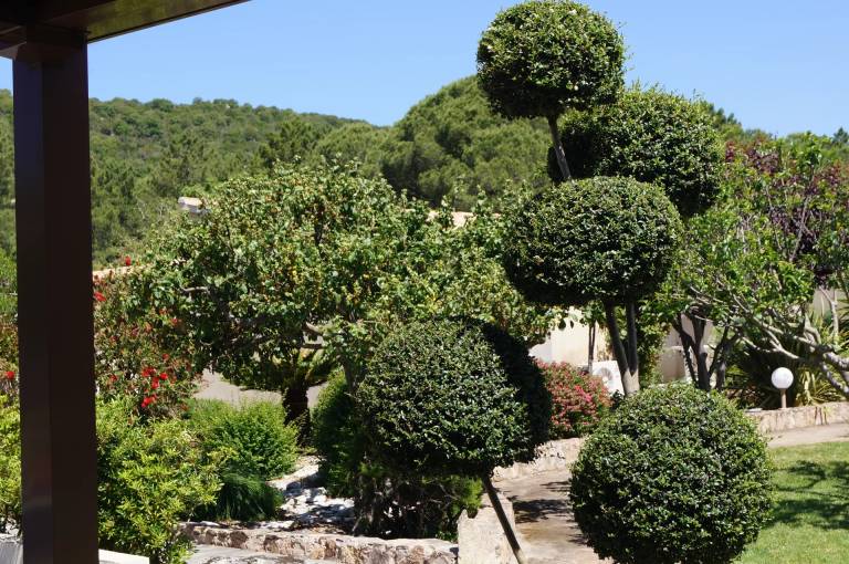 Chambre d'Hôtes Porto-Vecchio