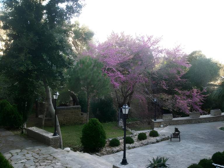 foto7