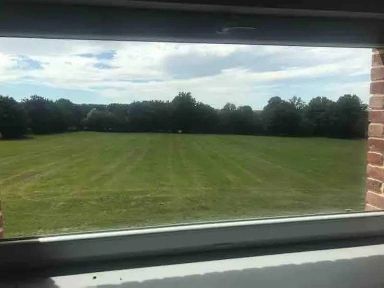 foto26