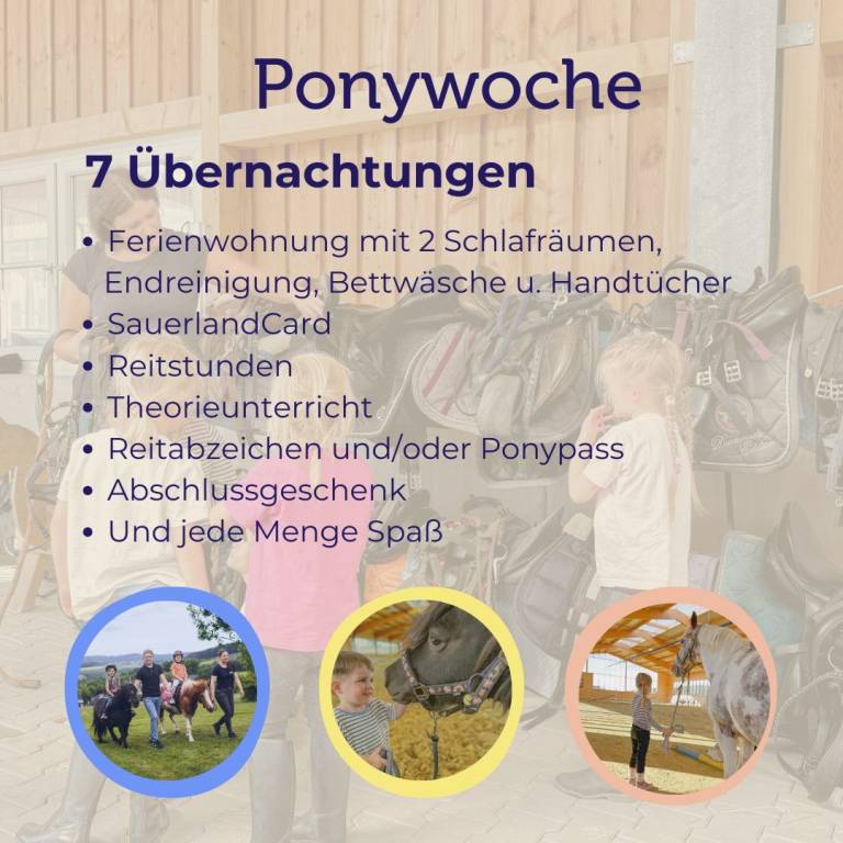Ponywoche 2026 auf dem Hof Köhne im Sauerland — photo 2