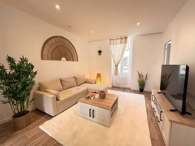 Appartement Roanne
