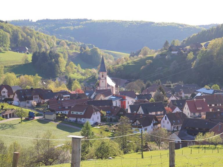 foto41