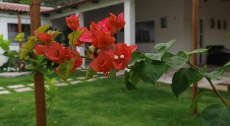 foto41