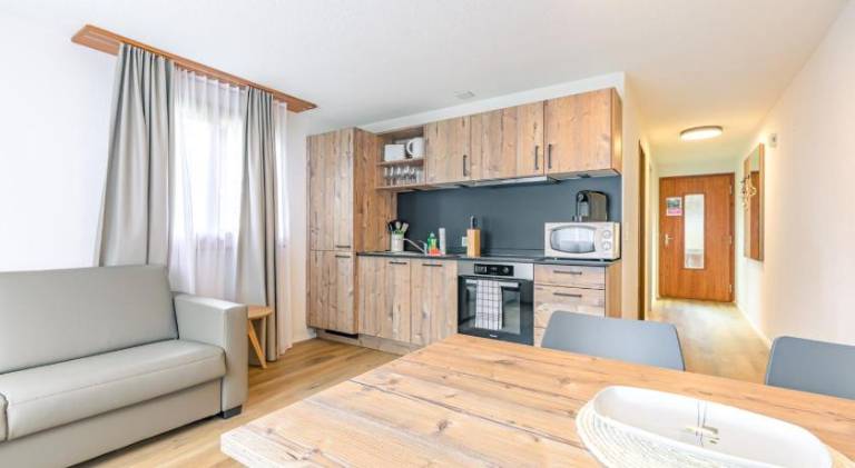 Apartment with patio | Ski nearby | Dogs allowed in Grindelwald