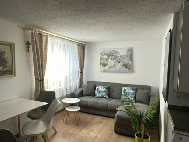 Rental apartment with terrace & BBQ — photo 3