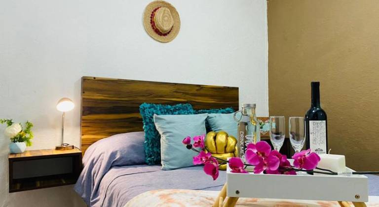 Lovely rental apartment | Pets are welcome in Guanajuato