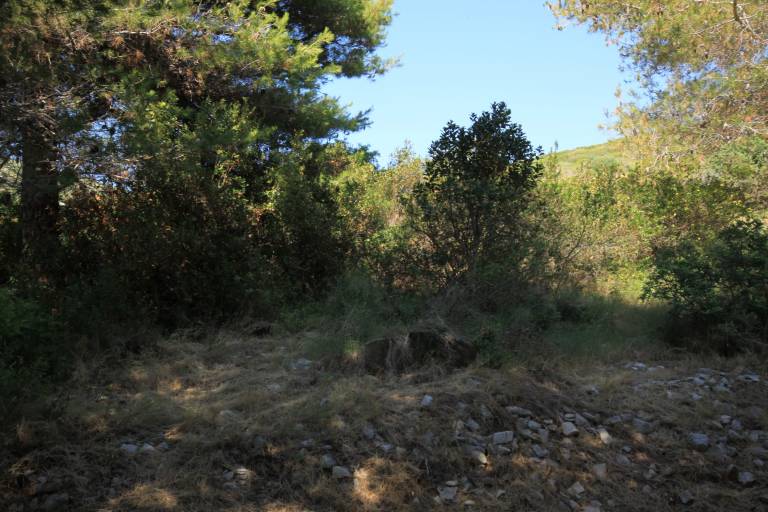 foto12