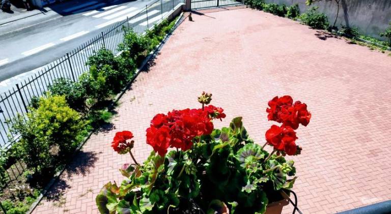 Wonderful apartment | Pets are welcome in Verbania