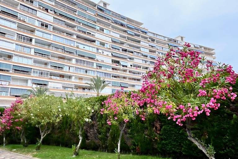 foto41