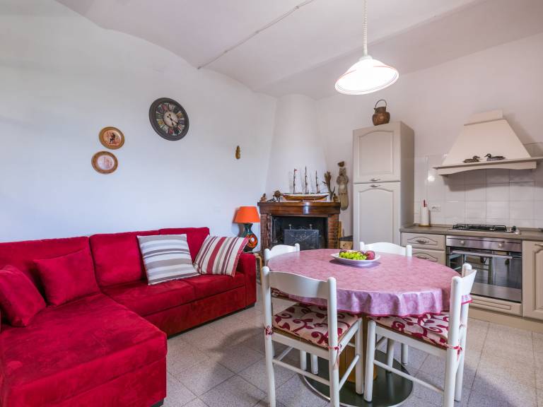 House with barbeque, garden & terrace | Nature view | Pet-friendly — photo 4