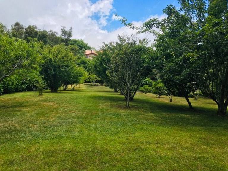 foto14