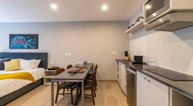 Rental apartment | Near Frida Kahlo Museum | Pets are welcome — photo 3