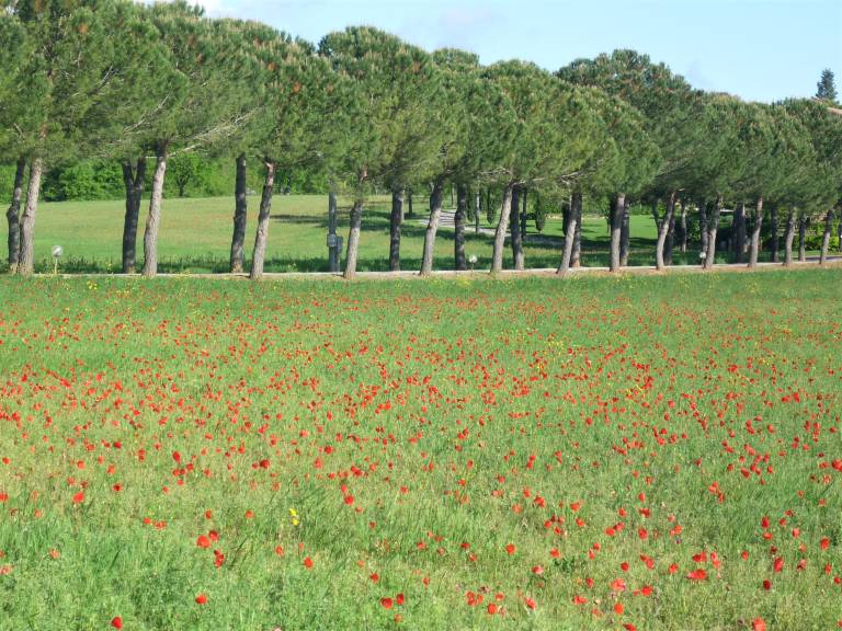 Agriturismo Nerbona: Appartamento Cappella — photo 4