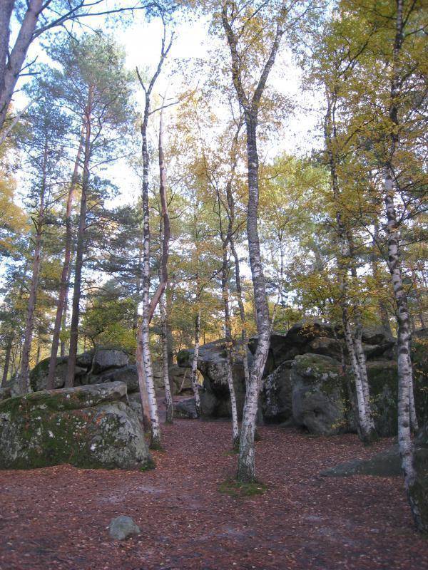 foto17