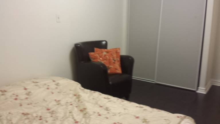 foto1