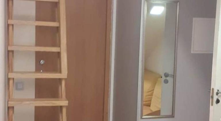Rental apartment | Pets are welcome in Kaunas