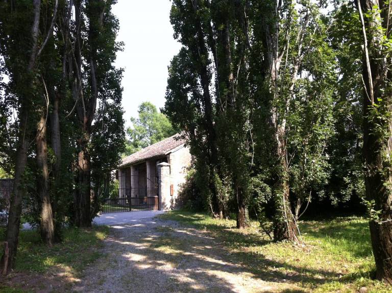 foto31