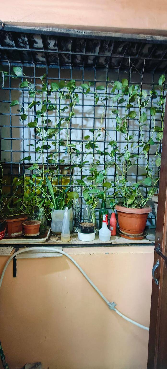 foto39