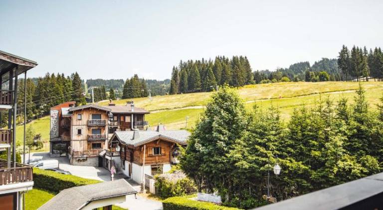 Hotel Alpina & SPA - Restaurant Oxalis — photo 5
