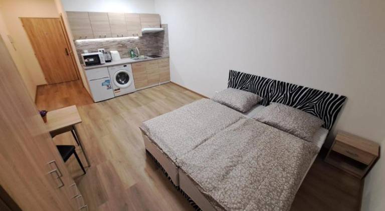 Holiday apartment with 1 room for 2 persons in Karlovy Vary