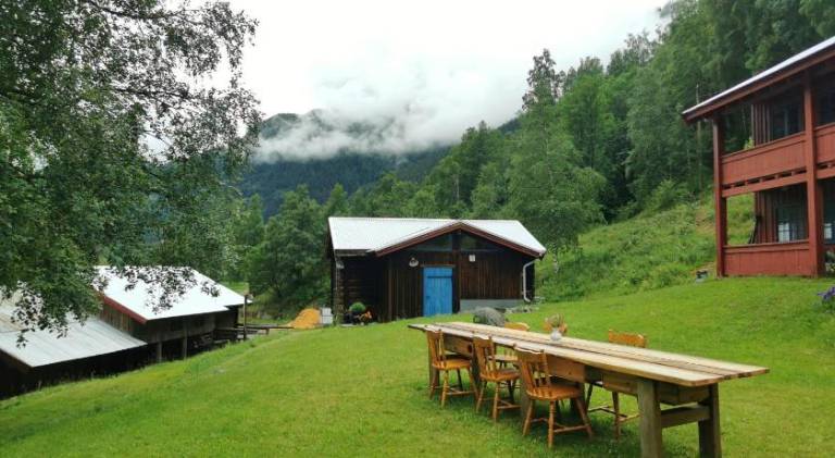 Chalet with yard — photo 3