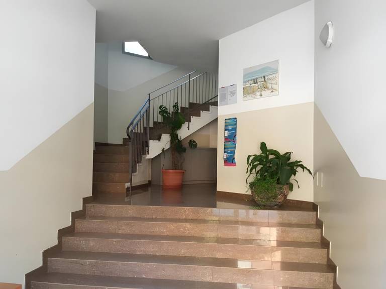Residence New Solaria beach included with umbrella and sunbeds — photo 4