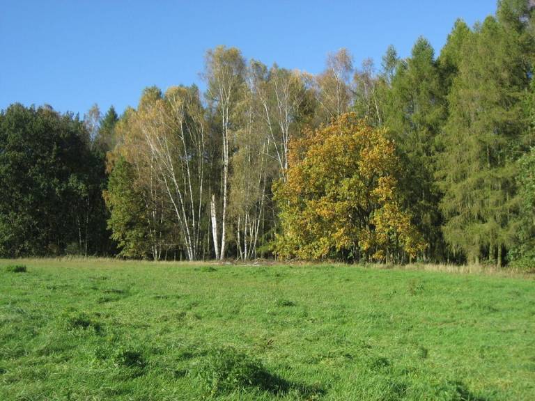foto15