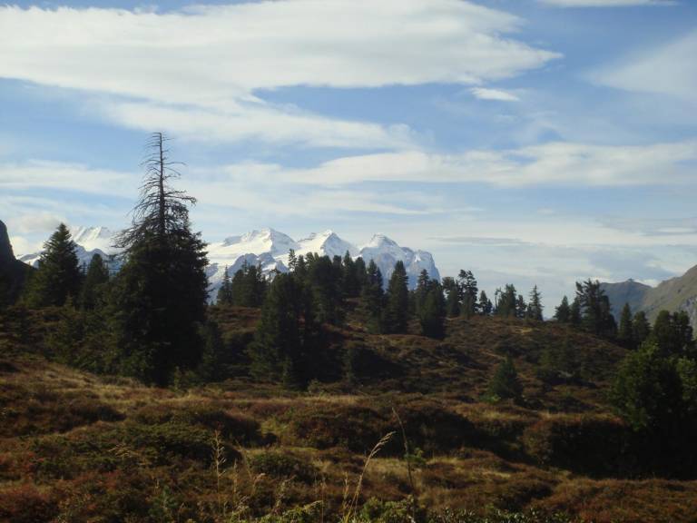 Ferienhaus in Innertkirchen für max. 5 Personen Ferienhaus in Innertkirchen für max. 5 Personen