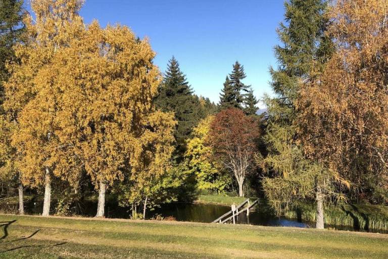 foto40