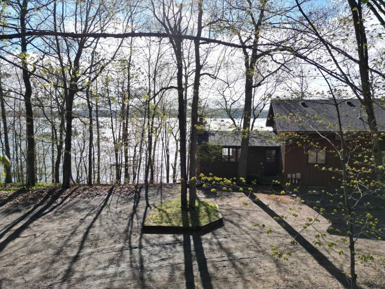 Cabin Brainerd