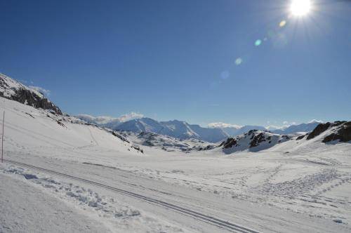 Chalet Oz-en-Oisans