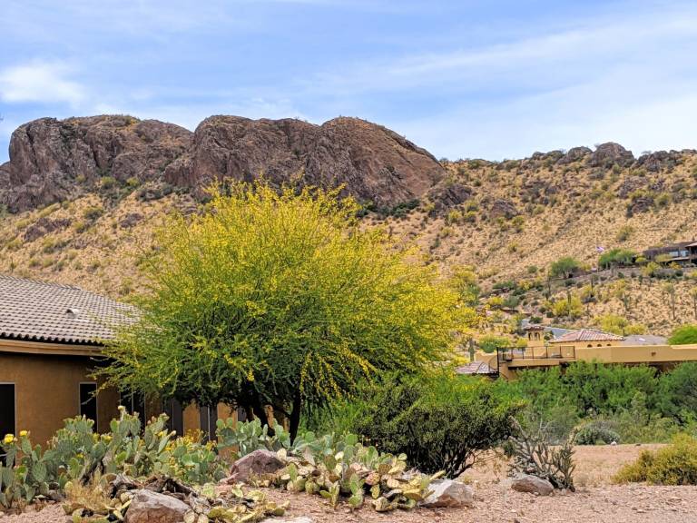 House  Gold Canyon