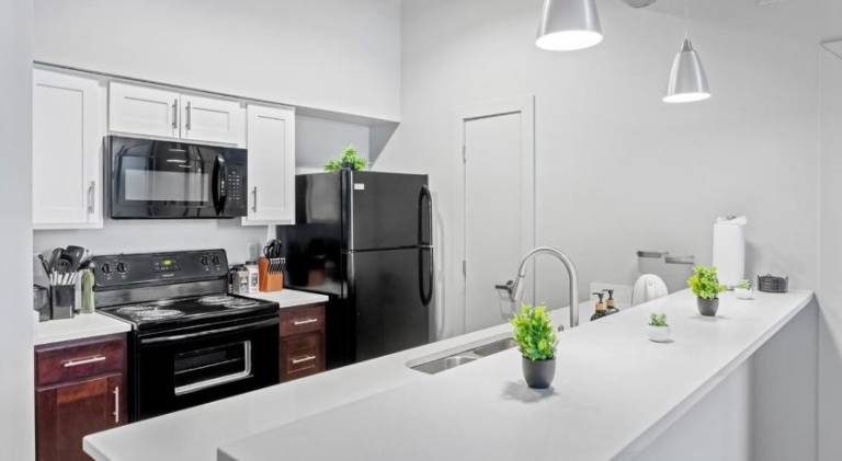 Nice holiday apartment | Dogs allowed — photo 5