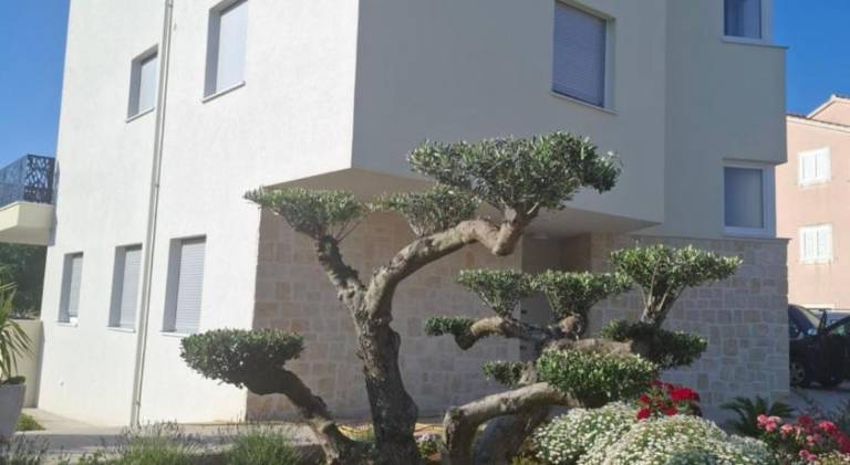 Holiday apartment | Next to the beach | Pets allowed — photo 4