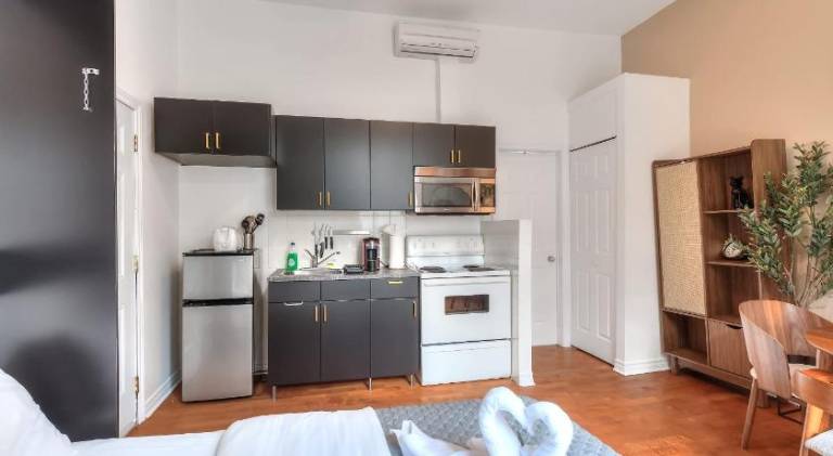 Beautiful rental apartment | Next to Notre-Dame Basilica | Dogs allowed — photo 3