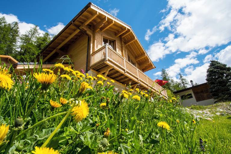 Chalet Zinal