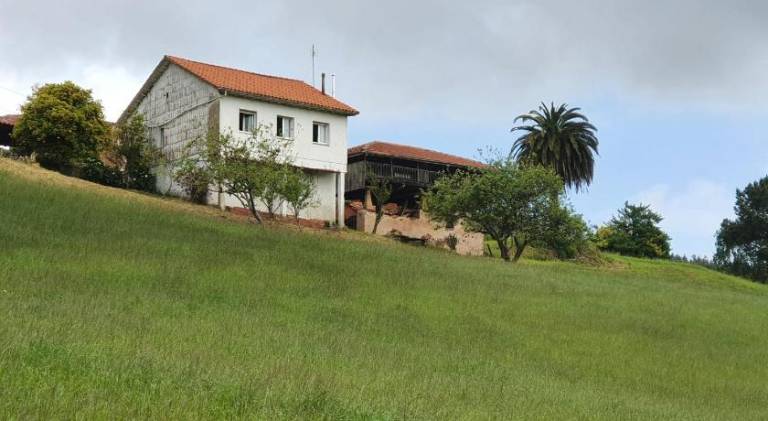 House  Ferrián