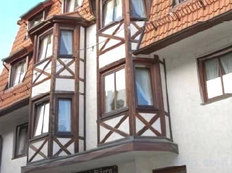 Hotel Baeren — photo 2