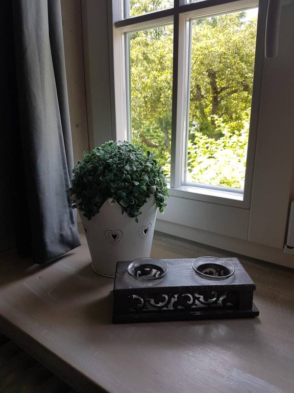 foto14